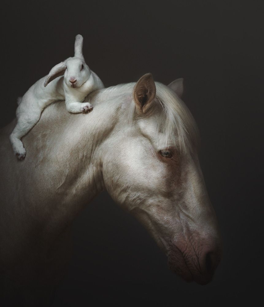 Photograph by Evelien Geldens