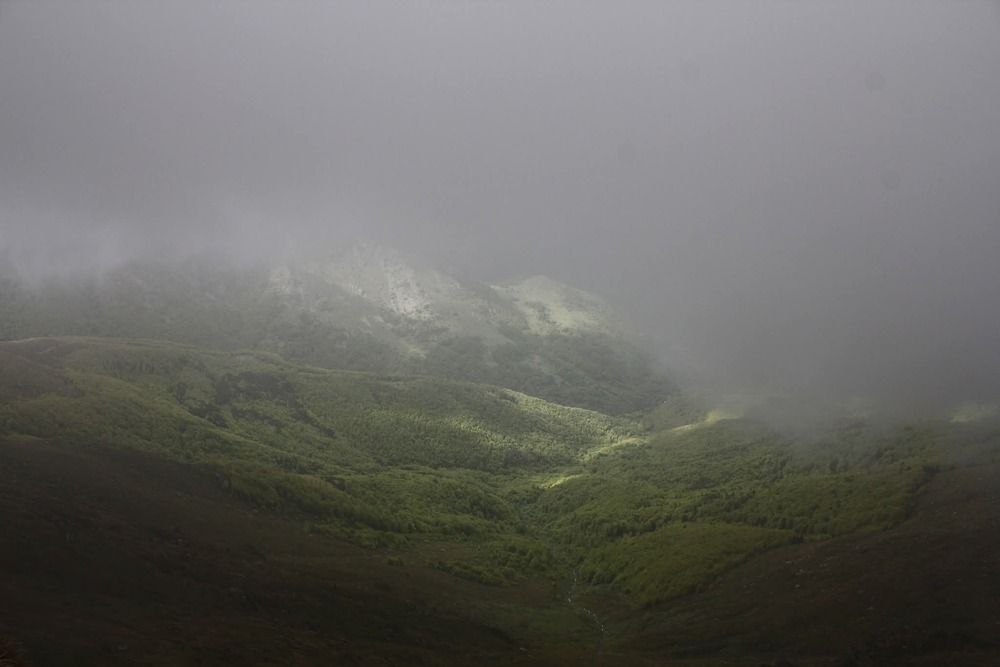 Mist