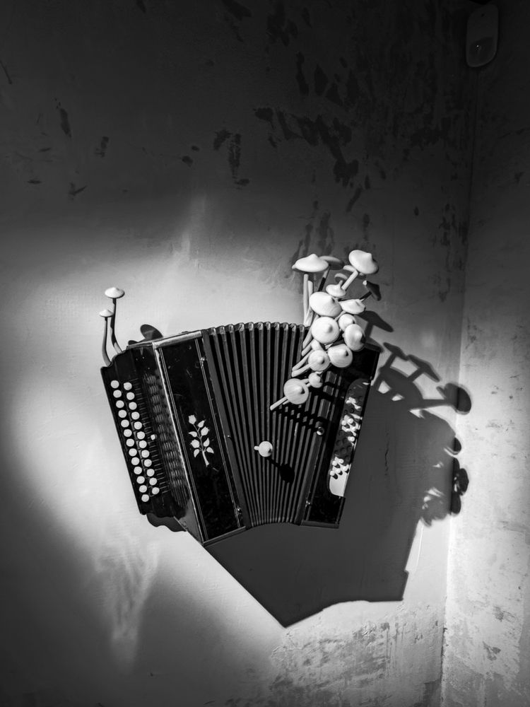 Photograph by Вячеслав Щёголев