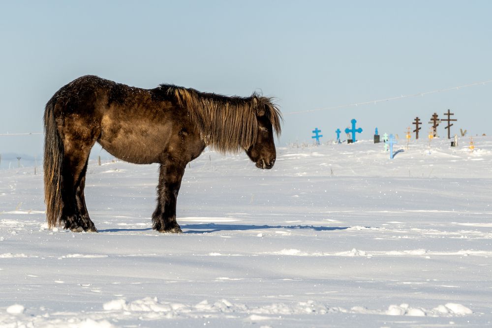 Фотография автора ARTEM KORZHUKOV