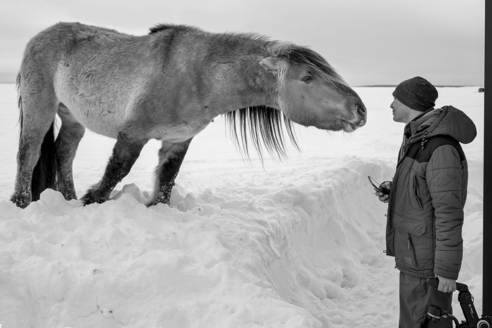 Photograph by ARTEM KORZHUKOV