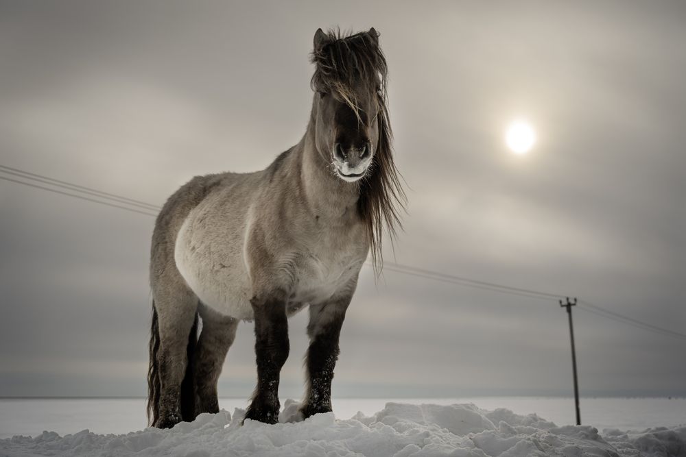 Фотография автора ARTEM KORZHUKOV