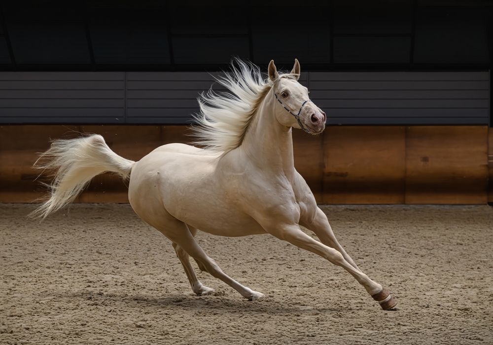 Photograph by Ирешева Мария