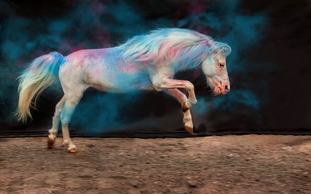 Фотография автора Мария Анатольевна Кузовлева