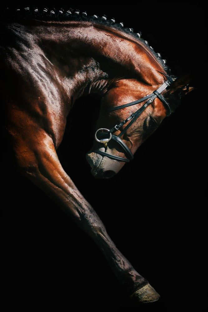 Photograph by István Szabó