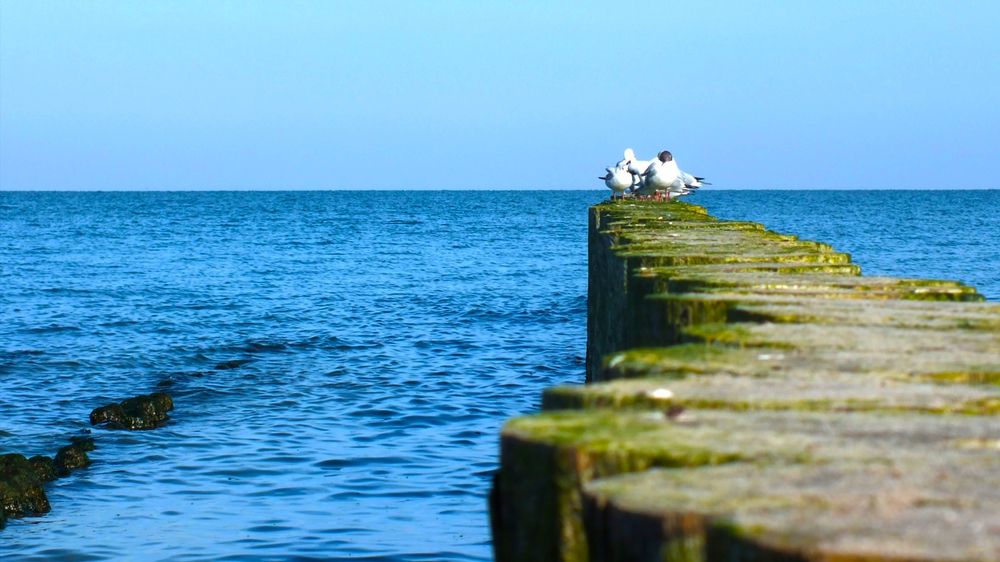 Photograph by Андрей Вешняков