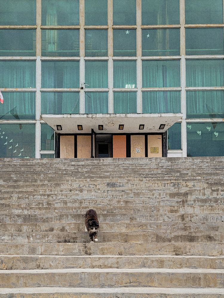 Фотография автора Людмила Казакова