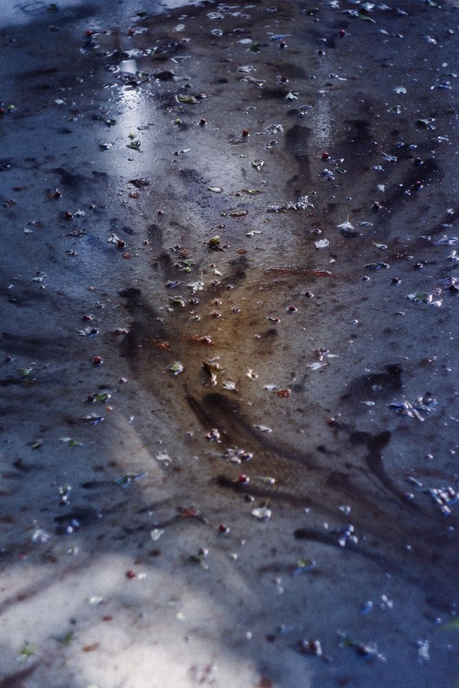 Photograph by Виктор Жулин