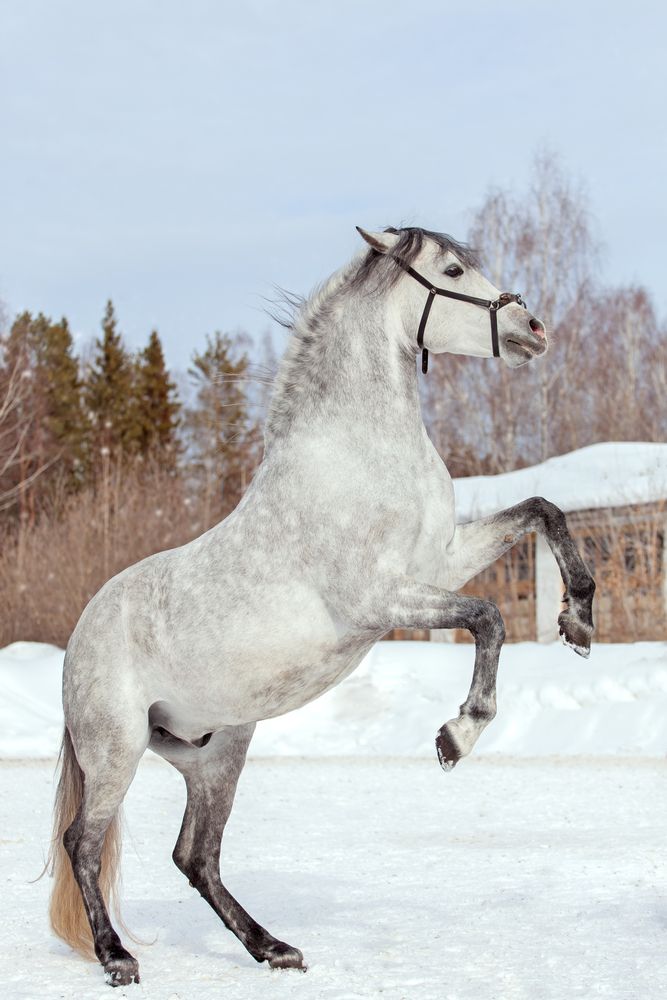 Фотография автора Мария Анатольевна Кузовлева