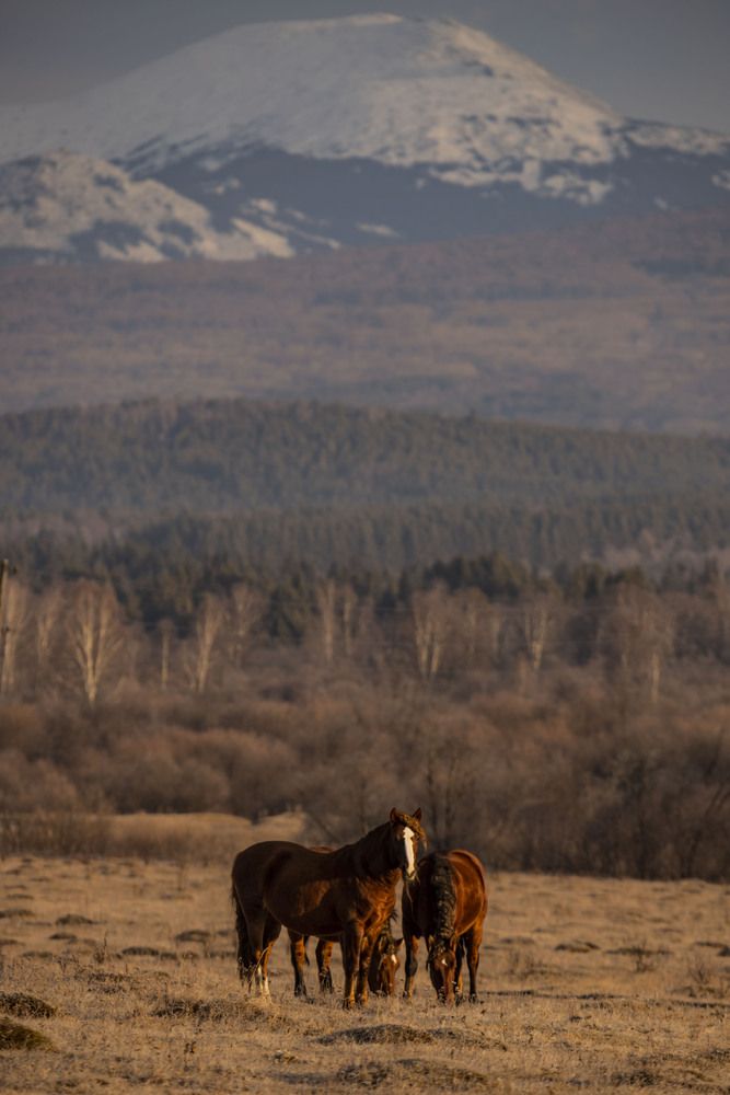 Photograph by Елена Перминова
