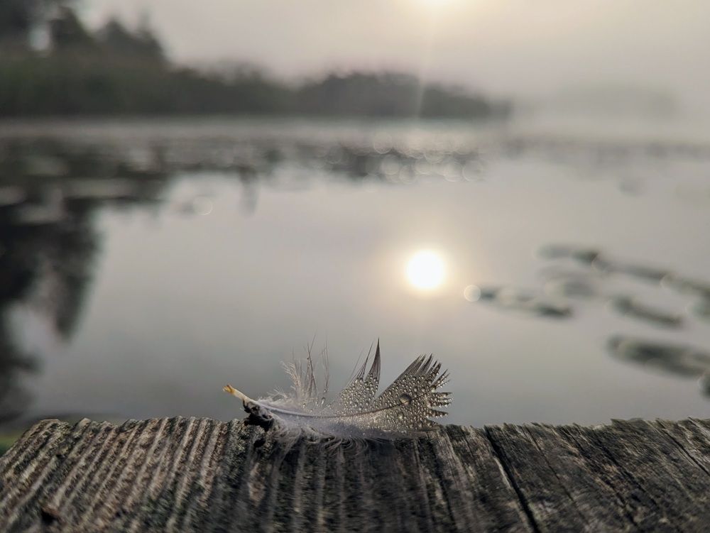 Photograph by Александр Айзенштадт