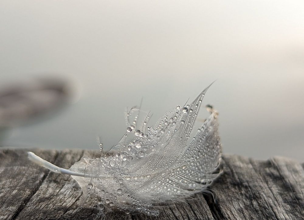 Photograph by Александр Айзенштадт