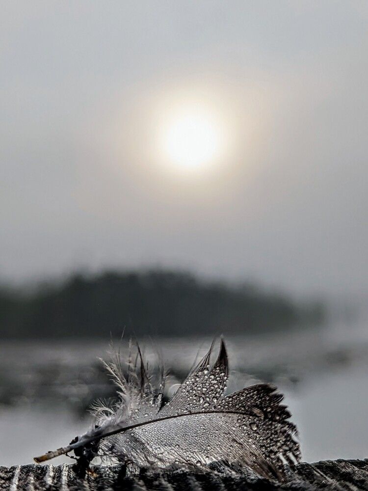 Photograph by Александр Айзенштадт