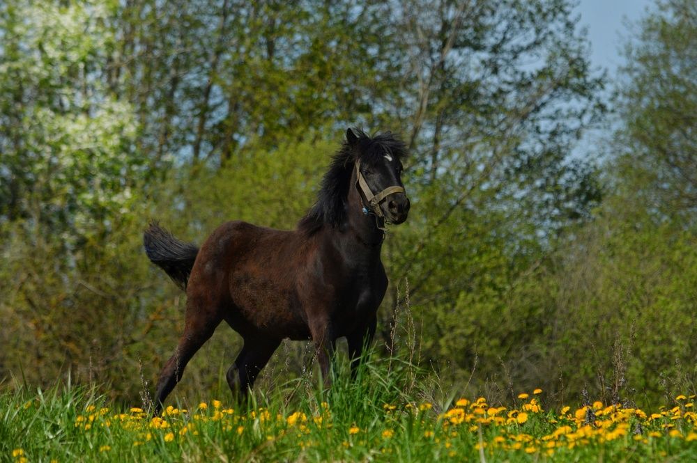 Photograph by Анна Зорька