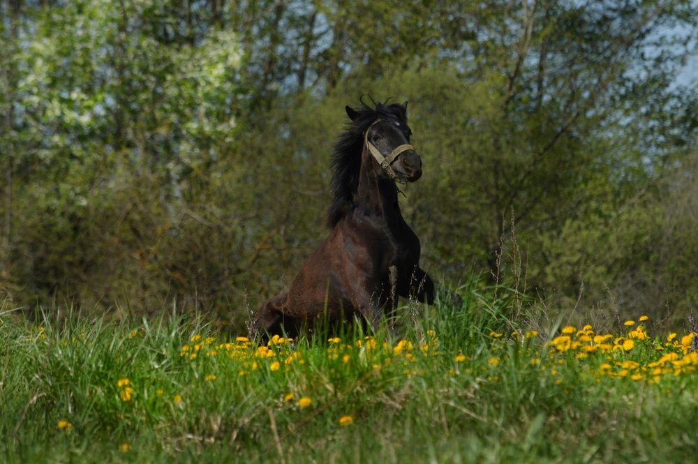 Photograph by Анна Зорька