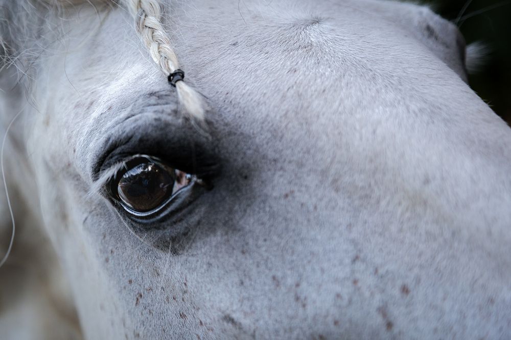 Photograph by Галина Чепиль