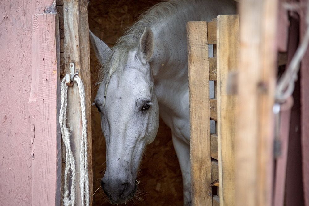 Photograph by Галина Чепиль