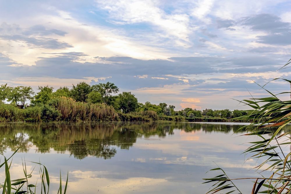 На водоеме перед закатом..