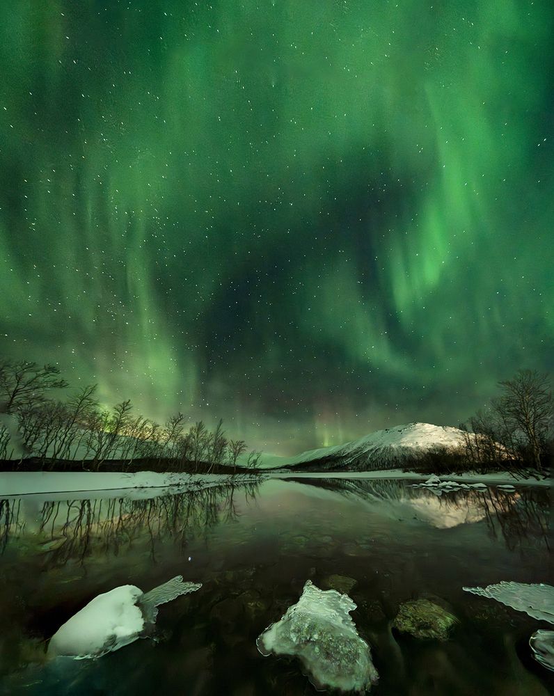 Photograph by Елена Вторушина