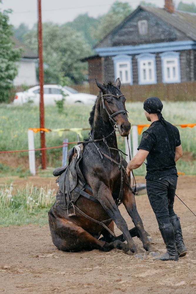 Фотография автора Юлия Скворцова