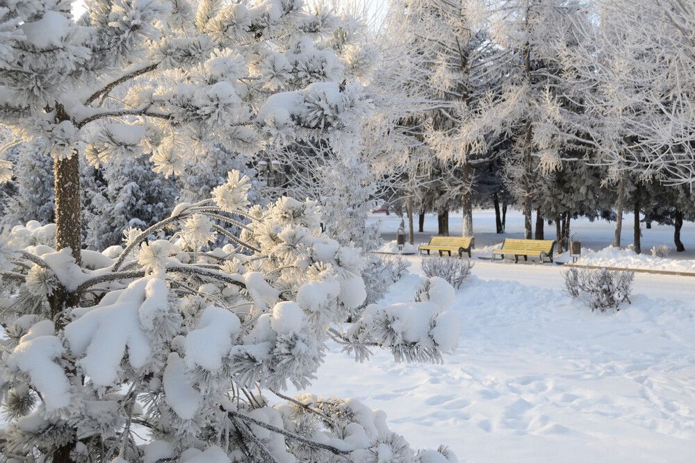 Photograph by Алексей