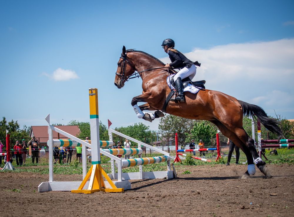 Фотография #12999195