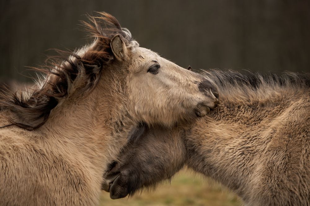 Photograph by Марина Красовская