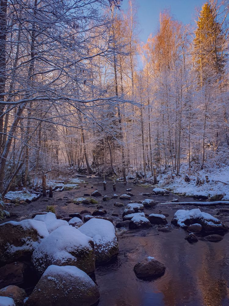 Фотография автора Inna Evseeva