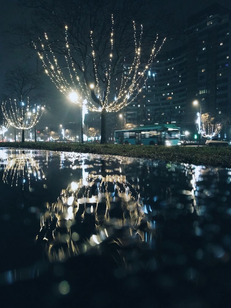 Photograph by Сафронова Любовь