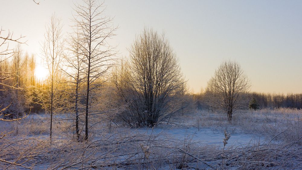 Photograph by Дмитрий Дунаев