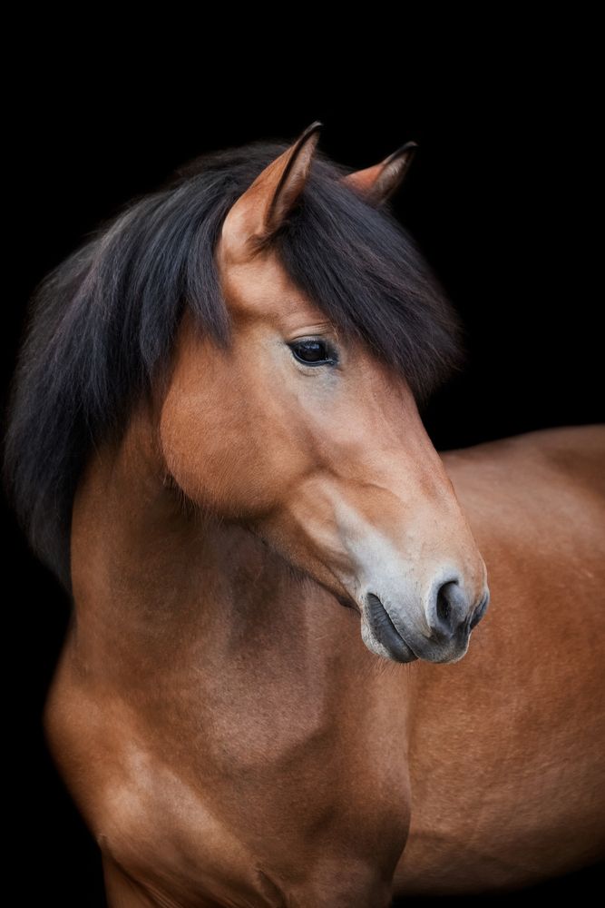 Photograph by Полина Ф