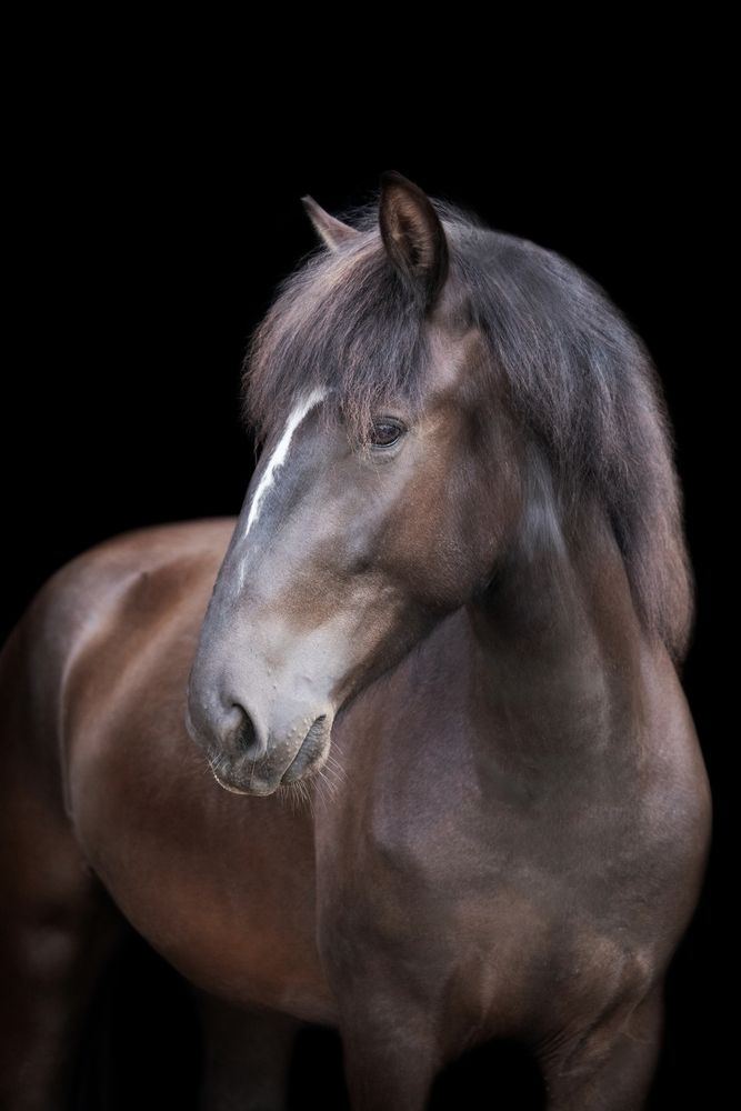 Photograph by Полина Ф