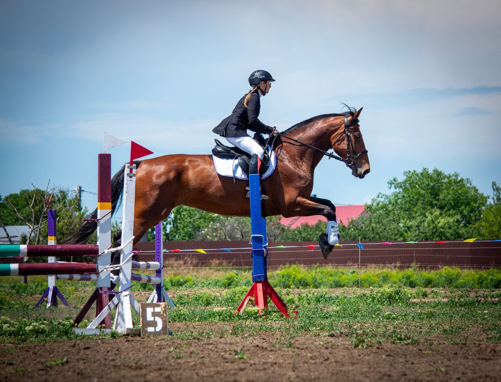 Фотография автора Надежда Ковалёва