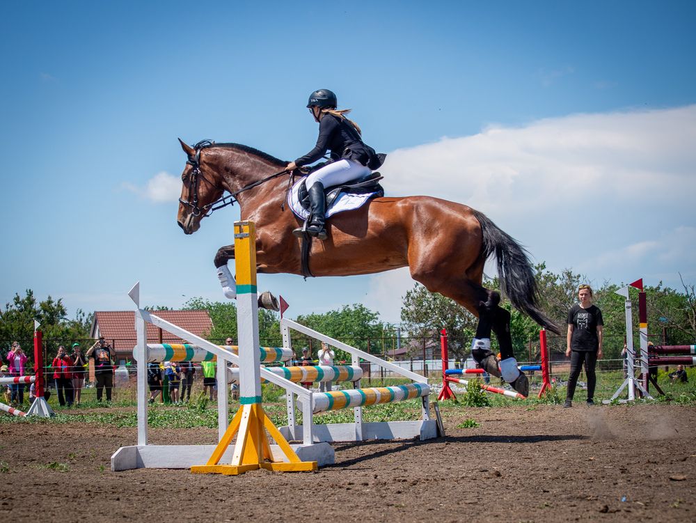 Фотография автора Надежда Ковалёва