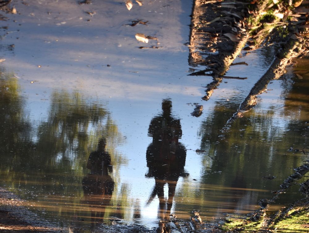 انعکاس اسی های عصر گاهی در اب برکه