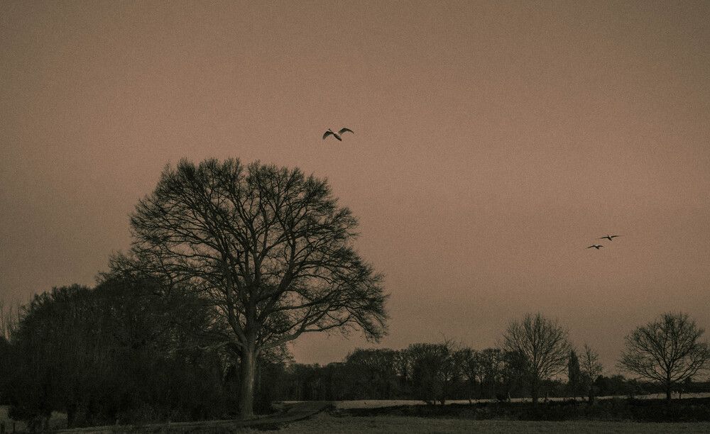 Photograph by Irina