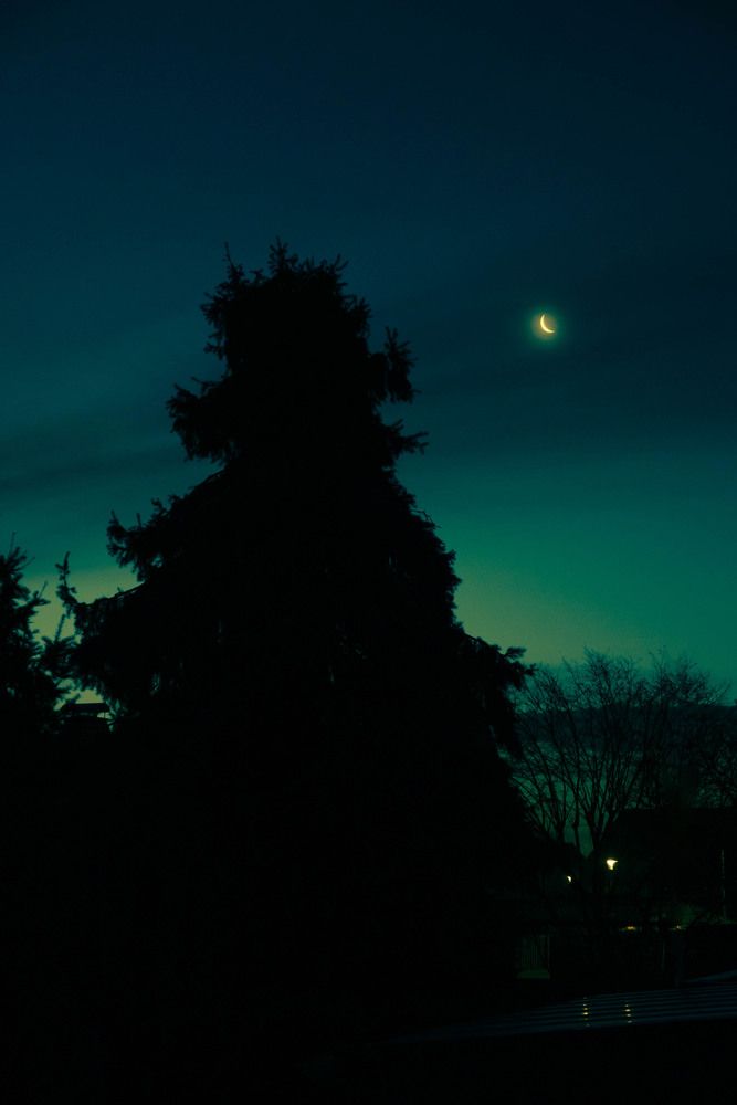 Photograph by Irina