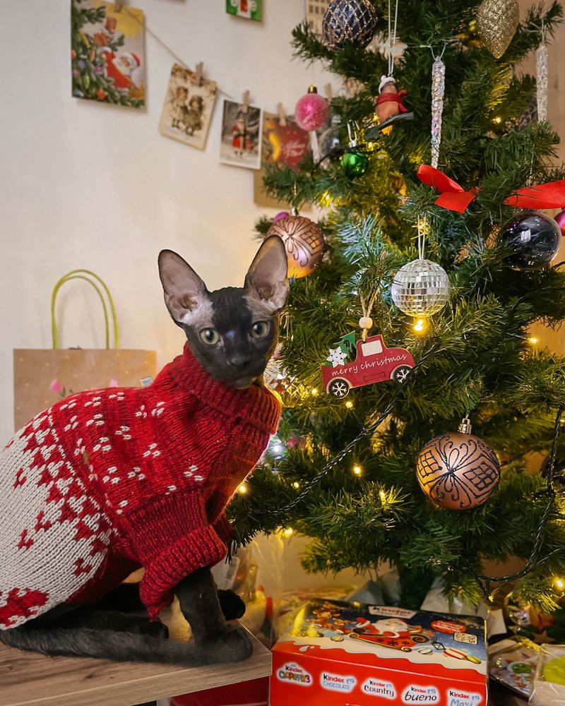 Photograph by Татьяна Ремизова