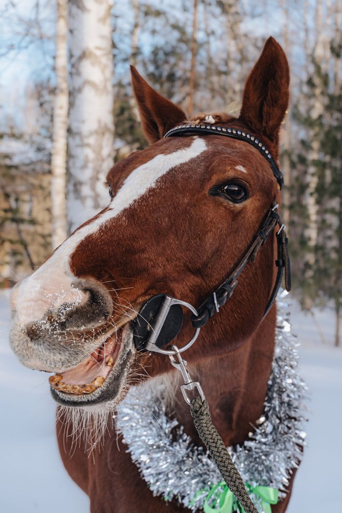 Photograph by Ирина Рыжова