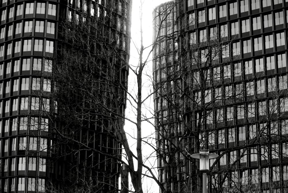 Photograph by Анна Лернер