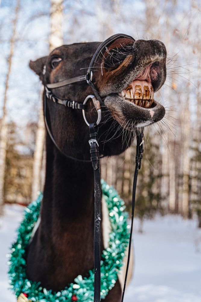 Photograph by Ирина Рыжова