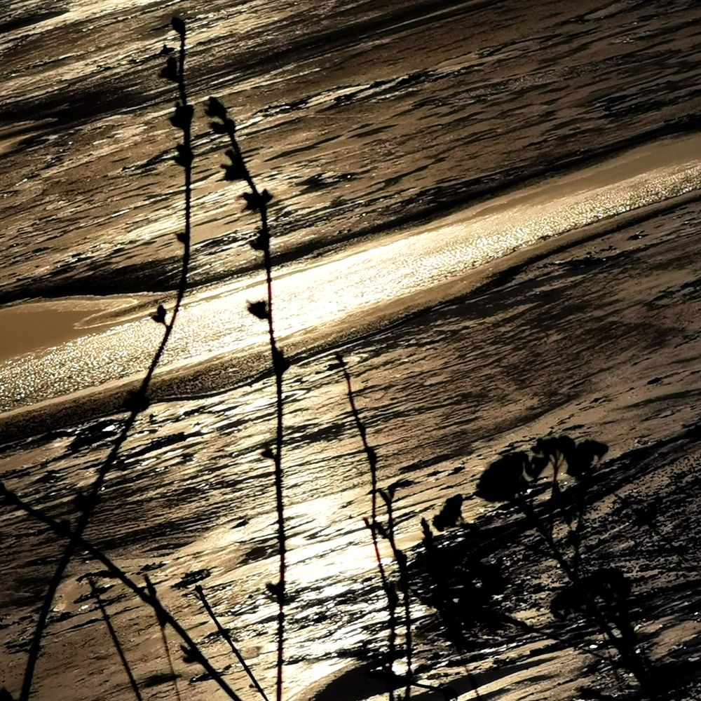 Photograph by Olga Kupriyanova