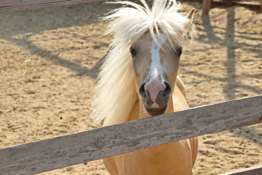 Photograph by Вакулина Марина