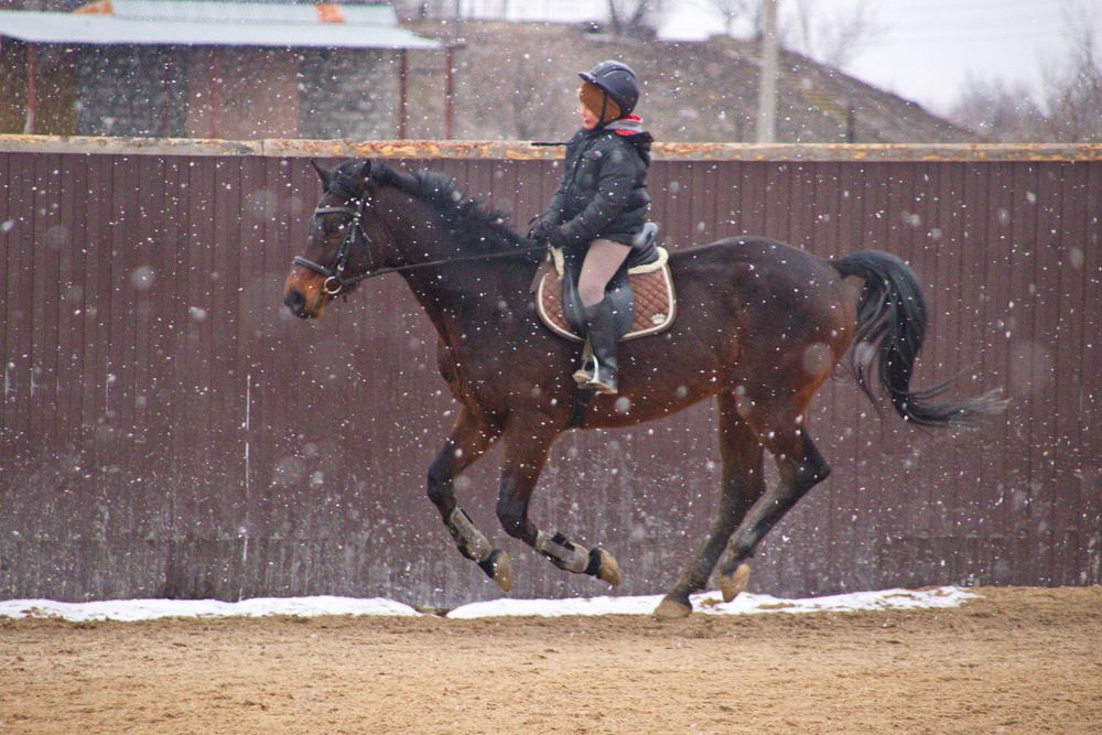 Photograph by Вакулина Марина