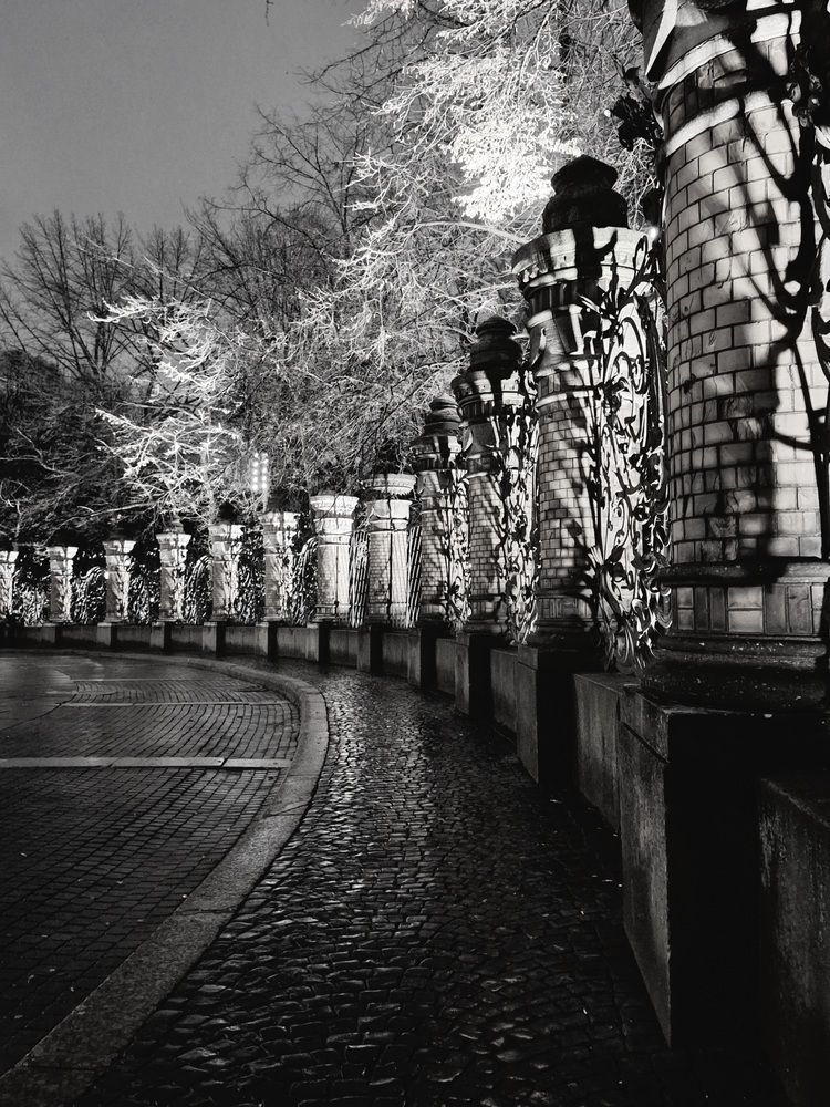 Photograph by Ольга Мольдон