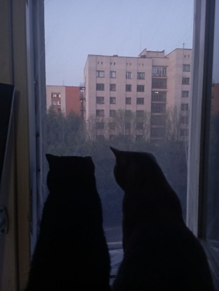 Photograph by Елена Ерасова