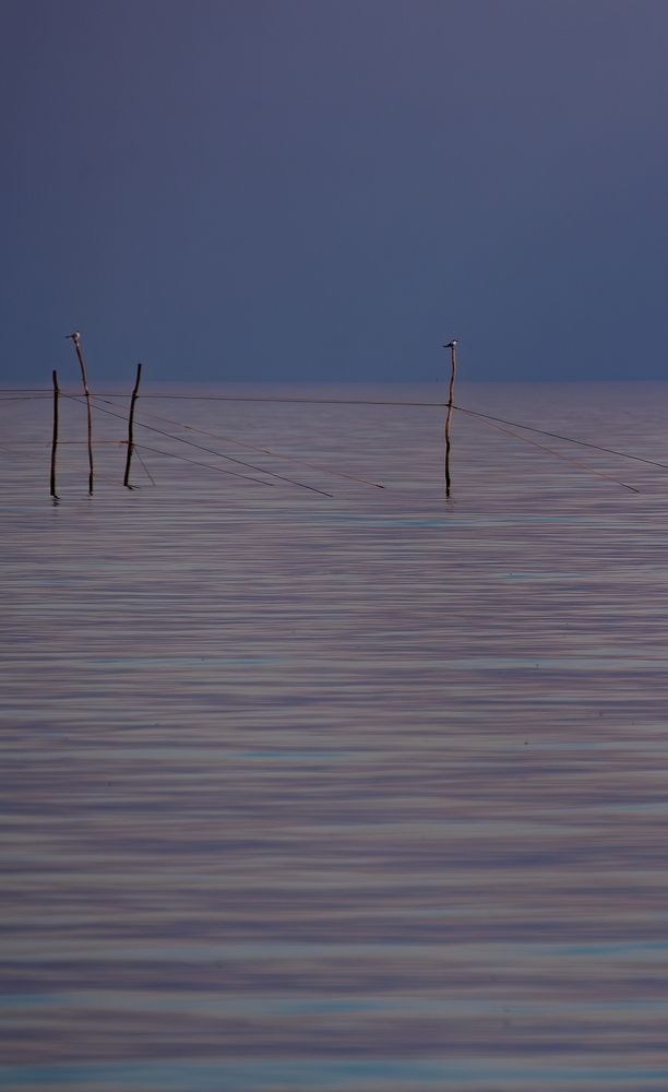 Photograph by Михаил Косолапов