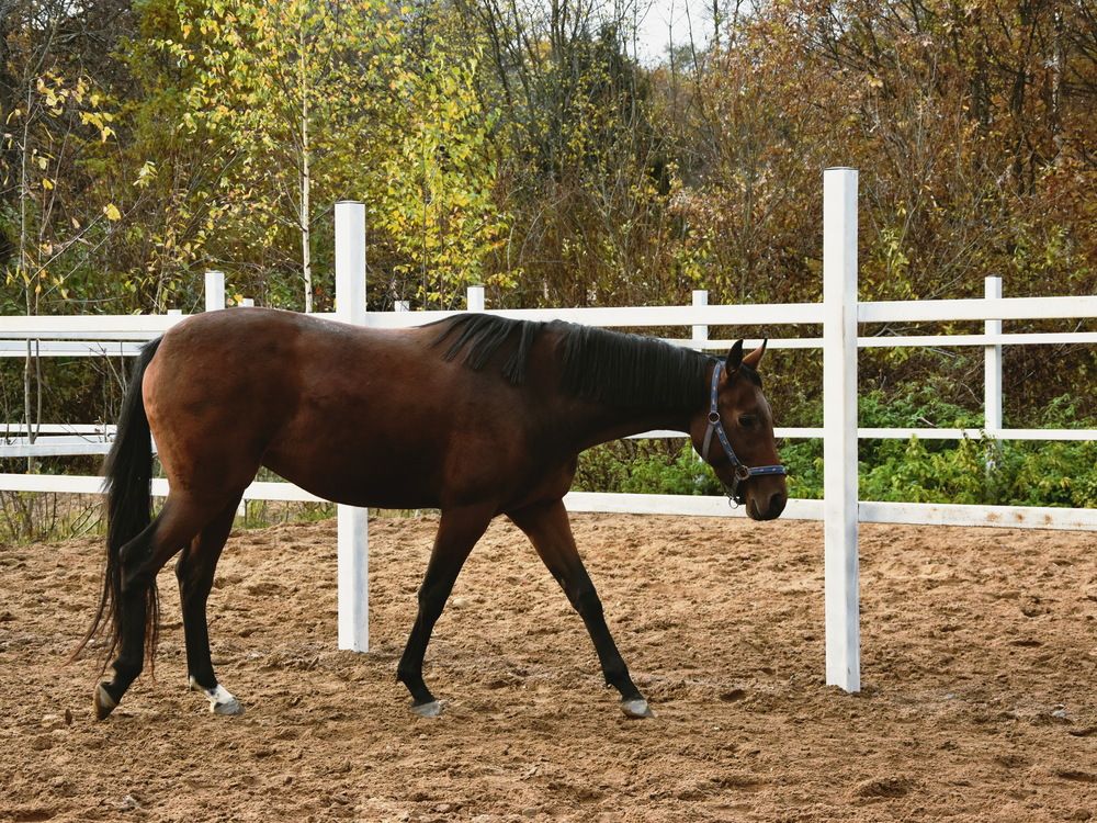 Фотография автора Марина Колядина