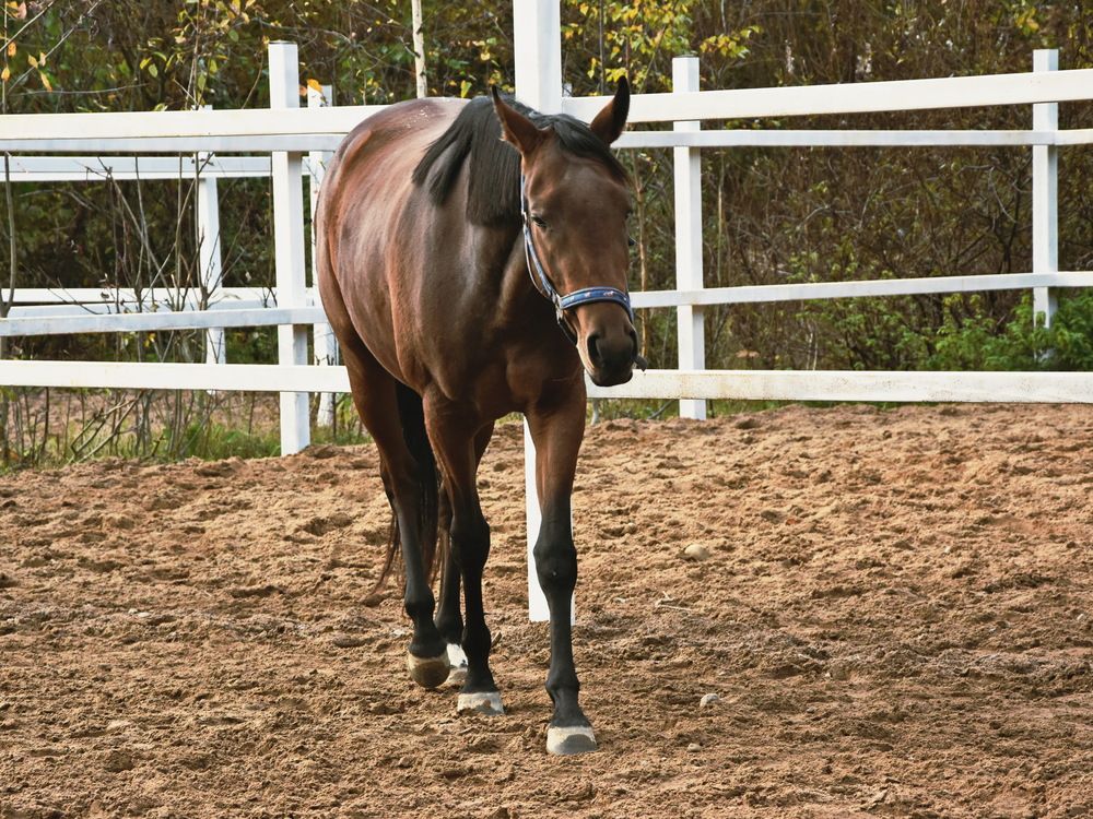 Фотография автора Марина Колядина