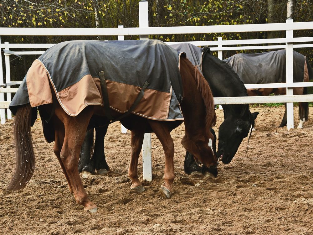 Фотография автора Марина Колядина